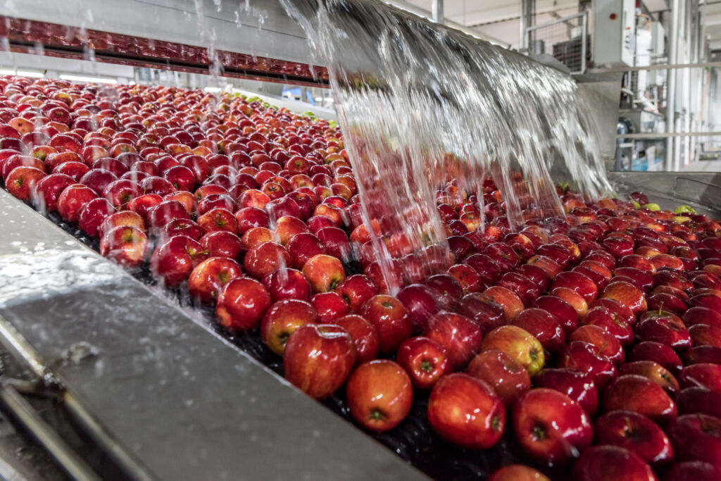 Auch beim Obst-Waschen
fallen Daten an, die die Conditorei
Coppenrath & Wiese mithilfe von
ResMa verwerten kann.
